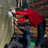 Boulder Mamut