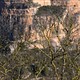 Siurana