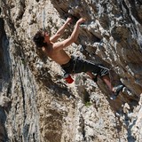 Adam lezie Aladina