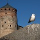 Hrad Olavinlinna