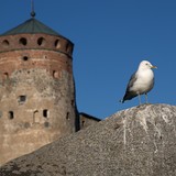 Hrad Olavinlinna