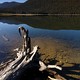 Monarch Lake