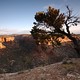 Ute Canyon
