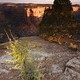 Ute Canyon