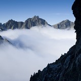 Inverzia