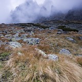 Vo Velickej doline