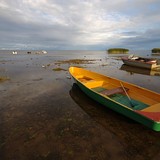 Jazero Peipsi Järv