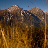 Ždiarska Vidla