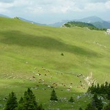 Suchý vrch