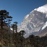 Pandim z Thangsingu
