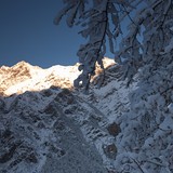Čerstvý sneh