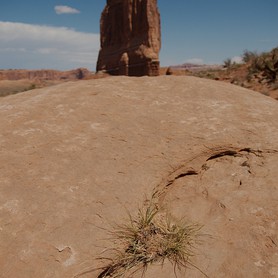 Veža v púšti